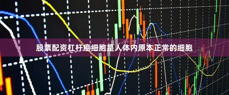 股票配资杠杆癌细胞是人体内原本正常的细胞